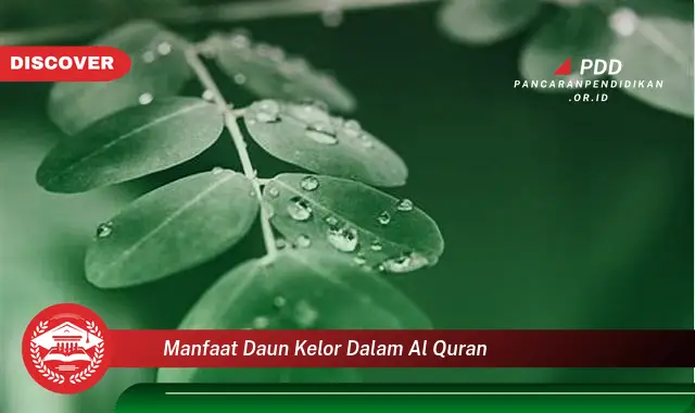 manfaat daun kelor dalam al quran