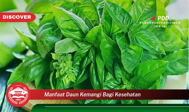 manfaat daun kemangi bagi kesehatan