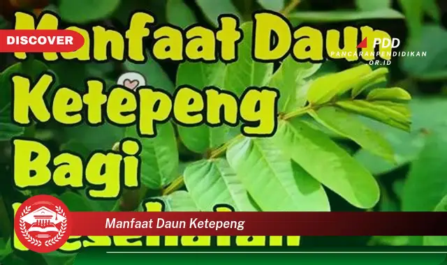 manfaat daun ketepeng