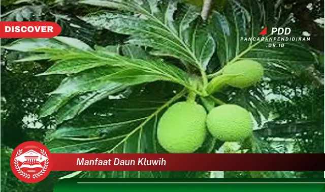 manfaat daun kluwih