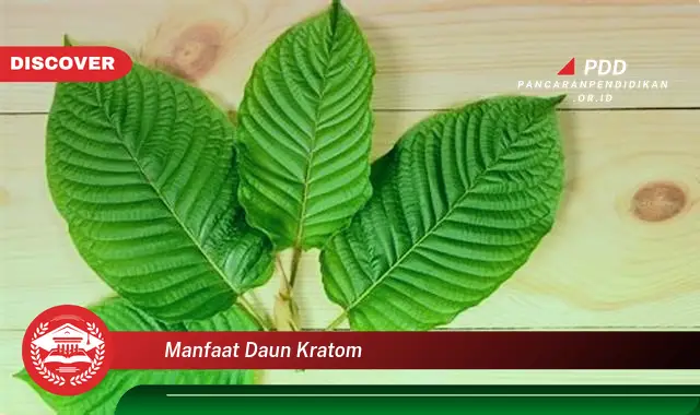 manfaat daun kratom