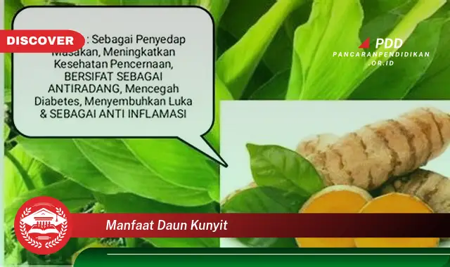 Banyak yang Belum Tahu, Inilah 30 Manfaat Daun Kunyit yang Wajib Diintip