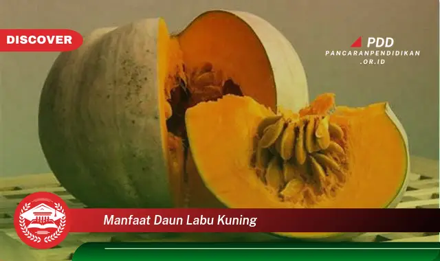 manfaat daun labu kuning