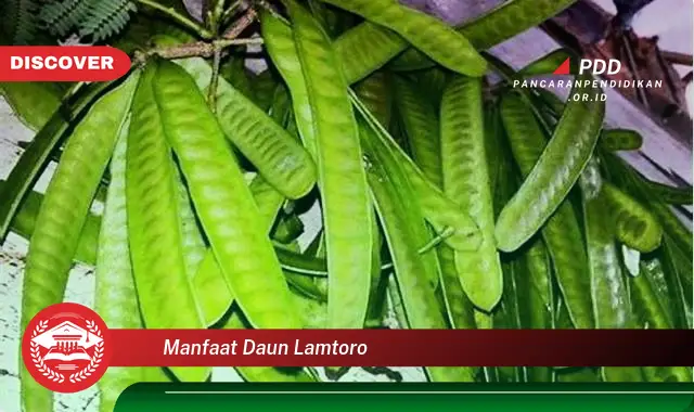 manfaat daun lamtoro