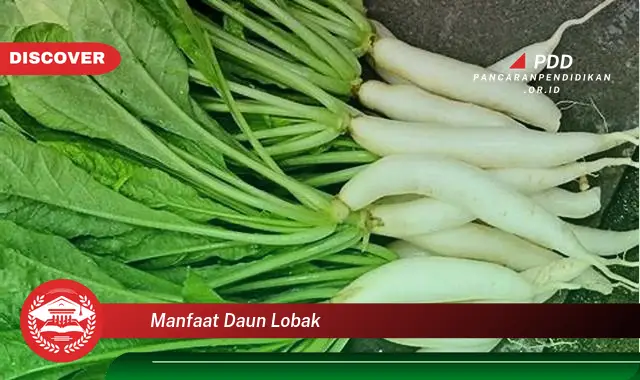 manfaat daun lobak