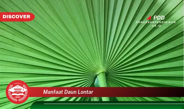 manfaat daun lontar