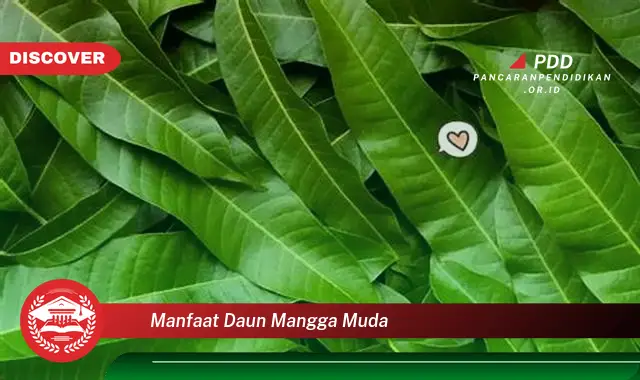 manfaat daun mangga muda