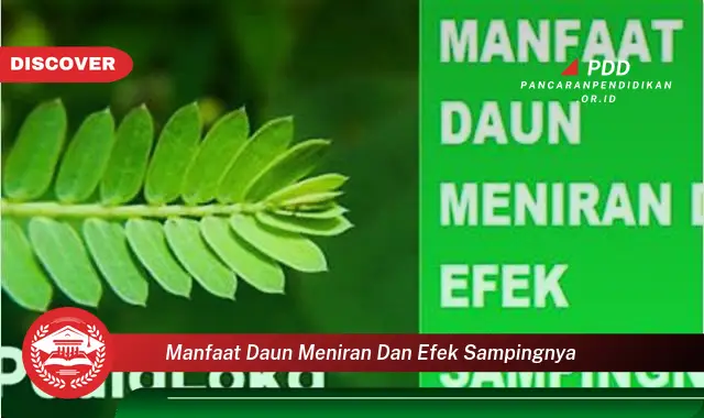 Kamu Wajib Tahu, 30 Manfaat Daun Meniran