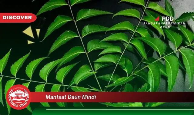 manfaat daun mindi