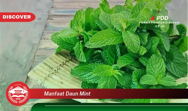 manfaat daun mint