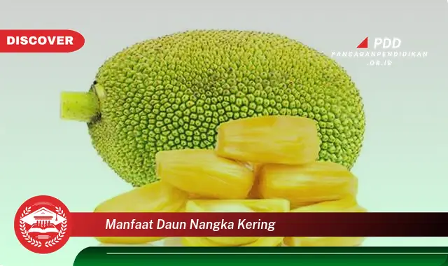 manfaat daun nangka kering