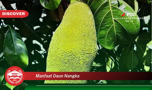 manfaat daun nangka