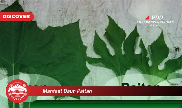 manfaat daun paitan