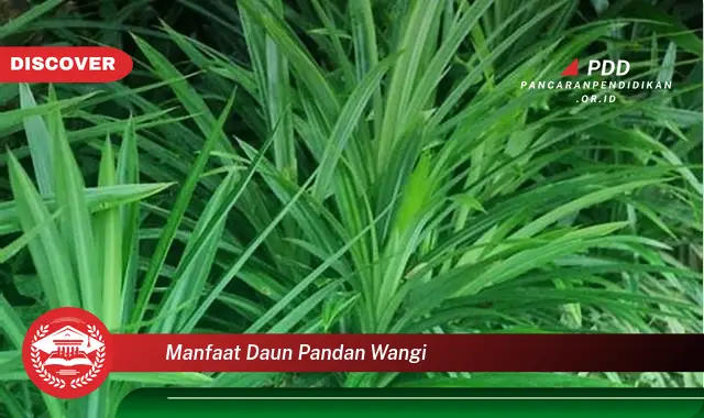 manfaat daun pandan wangi