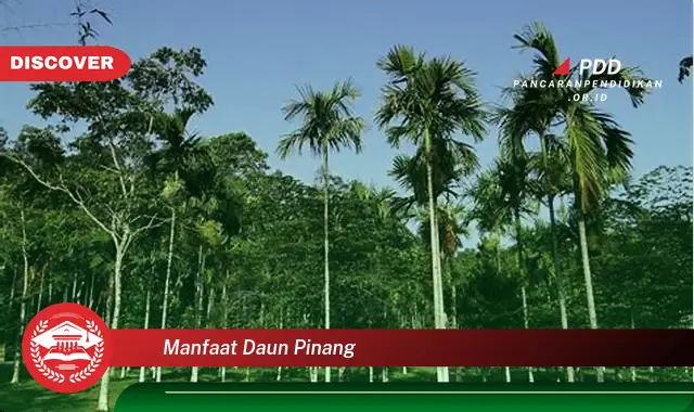 Bikin Penasaran, Ketahui 30 Manfaat Daun Pinang yang Jarang Diketahui