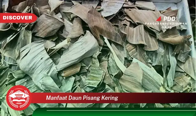 manfaat daun pisang kering