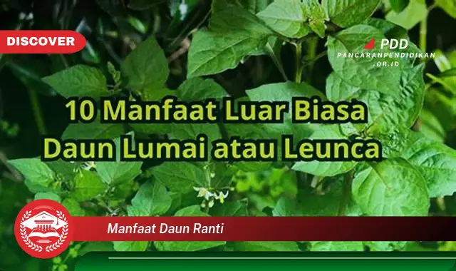 manfaat daun ranti