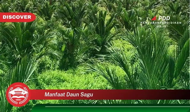 manfaat daun sagu