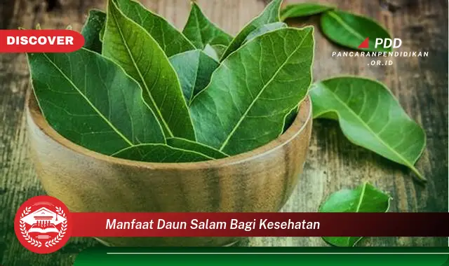 manfaat daun salam bagi kesehatan