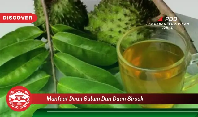 manfaat daun salam dan daun sirsak