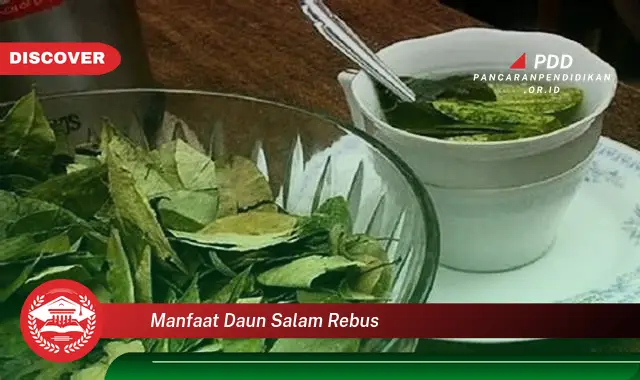 manfaat daun salam rebus