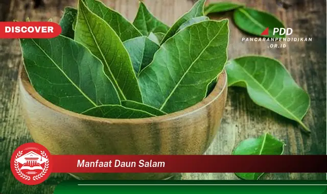 manfaat daun salam