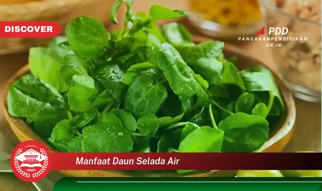 manfaat daun selada air