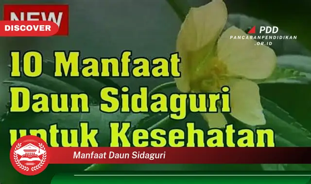 manfaat daun sidaguri