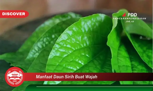 manfaat daun sirih buat wajah