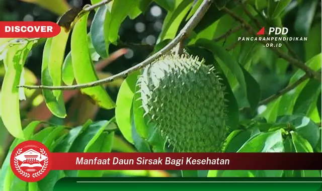 manfaat daun sirsak bagi kesehatan