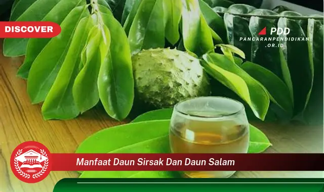 manfaat daun sirsak dan daun salam