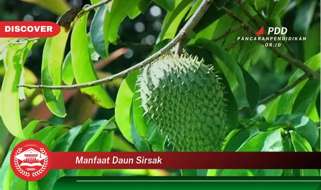 manfaat daun sirsak