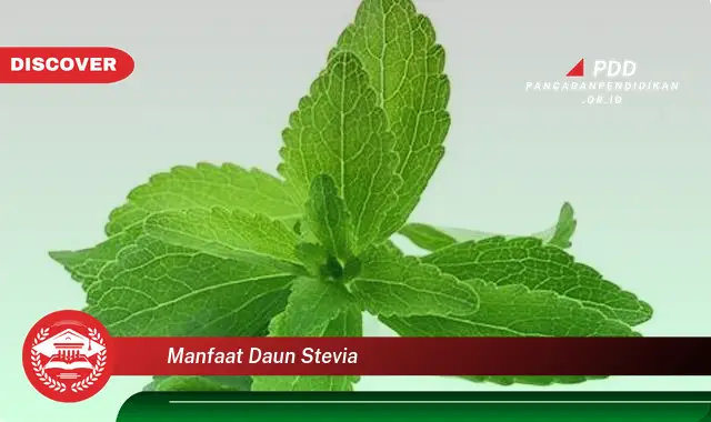 manfaat daun stevia