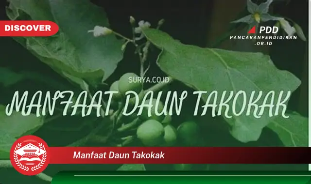 manfaat daun takokak