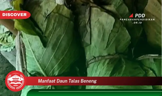 manfaat daun talas beneng