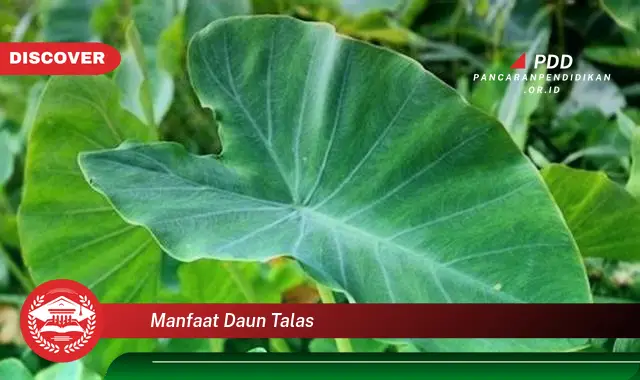 manfaat daun talas