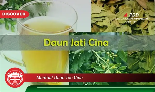 manfaat daun teh cina