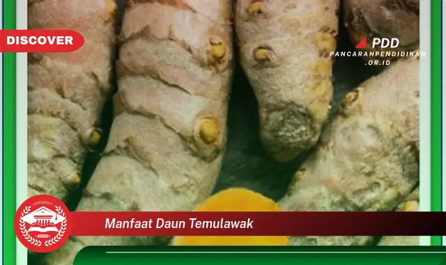 manfaat daun temulawak