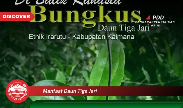 manfaat daun tiga jari