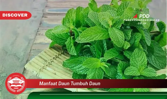 manfaat daun tumbuh daun