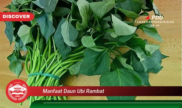 manfaat daun ubi rambat