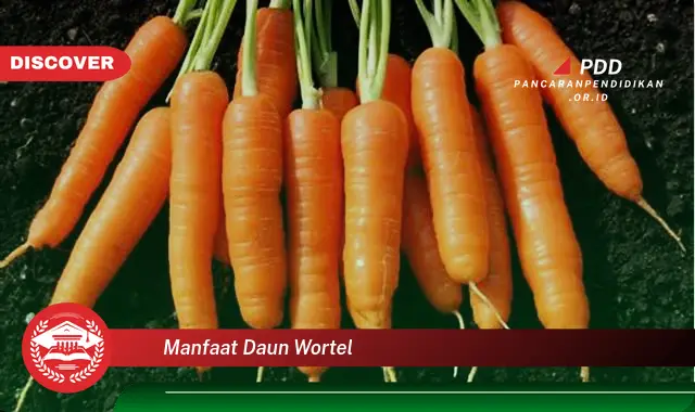 manfaat daun wortel