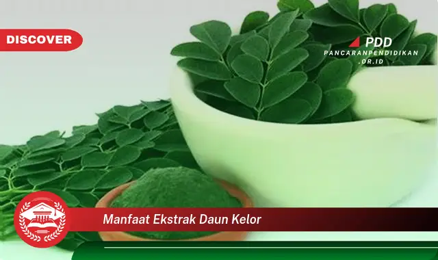 manfaat ekstrak daun kelor