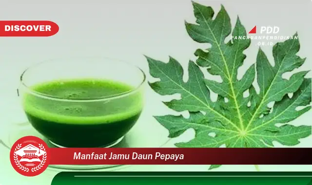 manfaat jamu daun pepaya