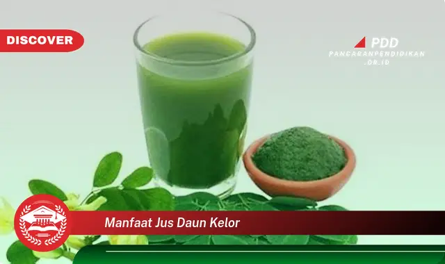 manfaat jus daun kelor