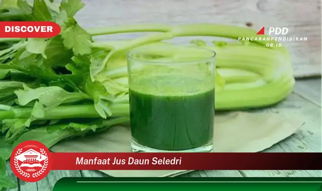 manfaat jus daun seledri