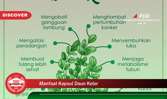 manfaat kapsul daun kelor