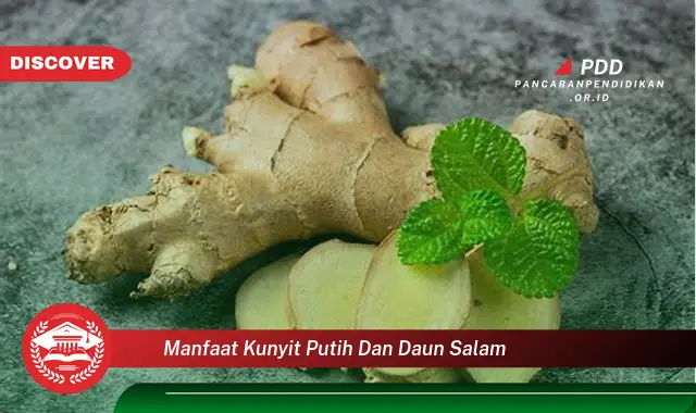 manfaat kunyit putih dan daun salam