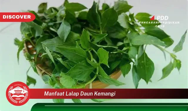 manfaat lalap daun kemangi