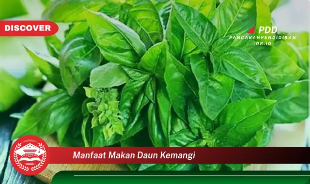 manfaat makan daun kemangi